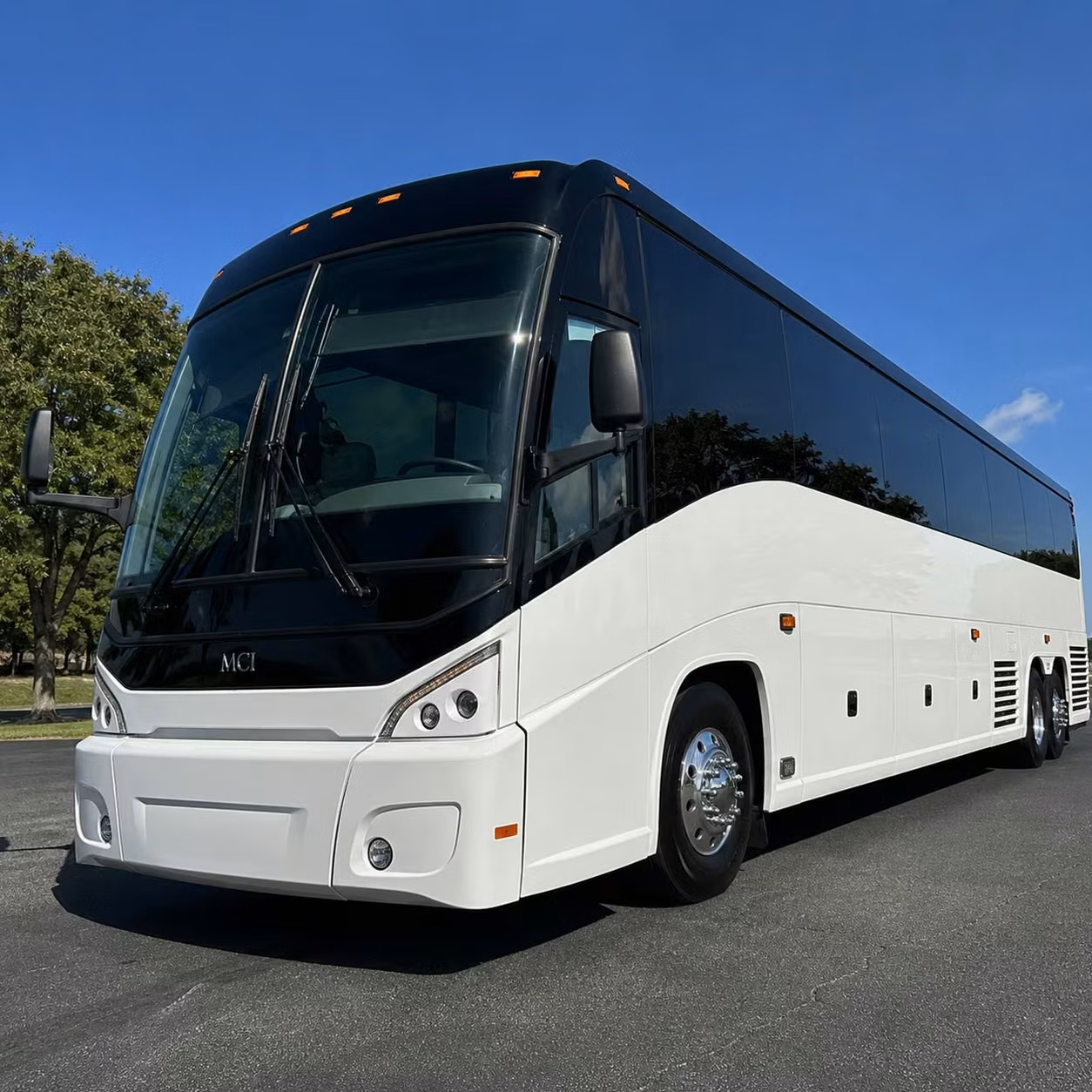 plan pilgrimage and revival transportation from washington dc
